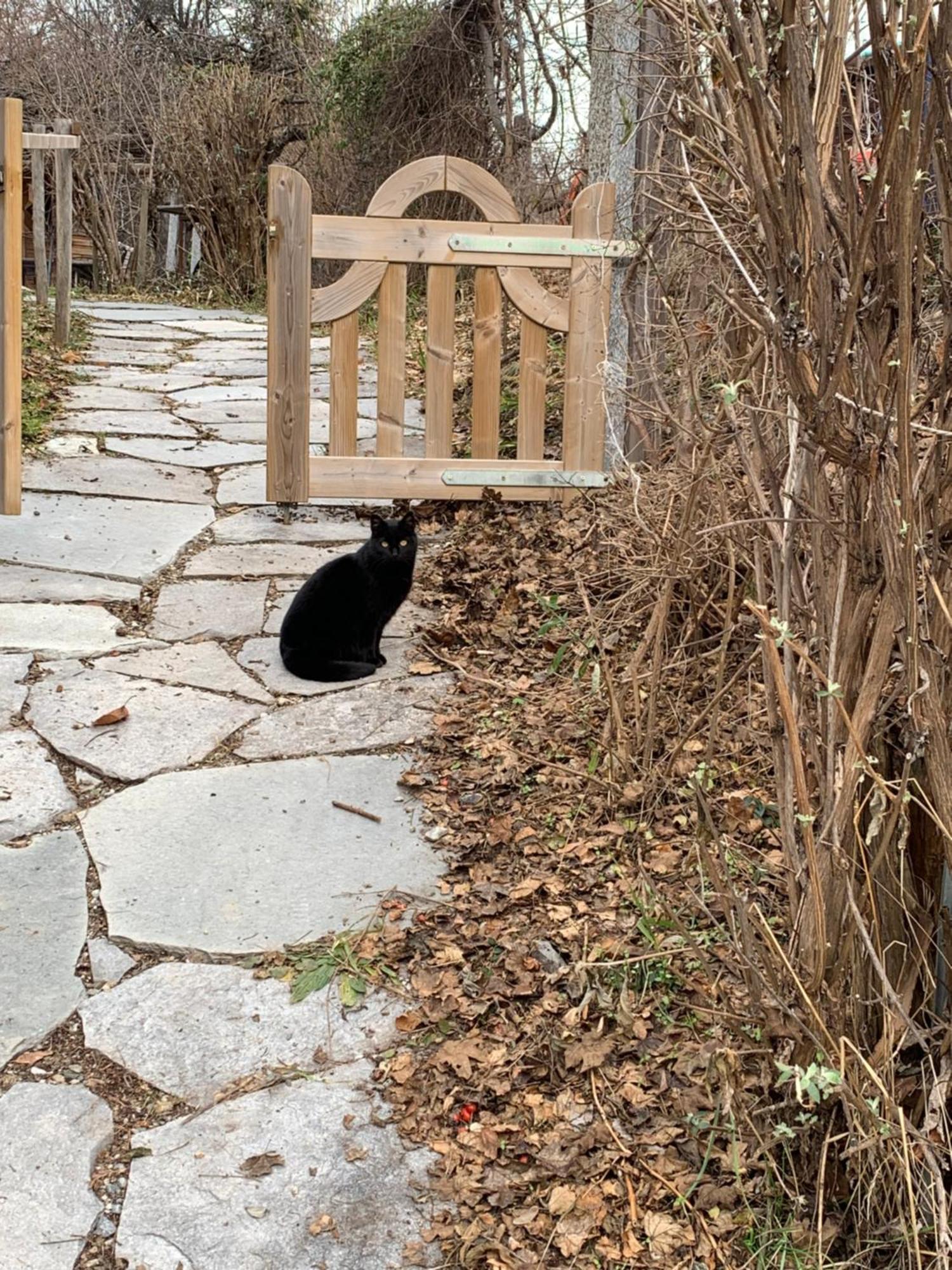 Le Gite De Briey Chalais Exteriör bild